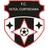 Oltul Curtişoara