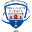 Tricolorul Breaza