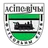 Osipovichy