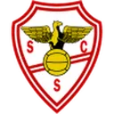 Salgueiros