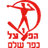 Hapoel Kfar Shalem