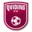 Qviding FIF